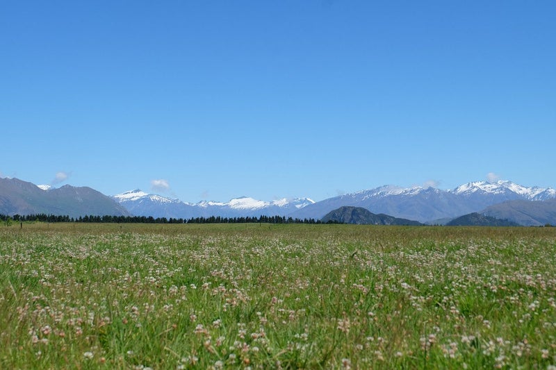 Image 1 of 24