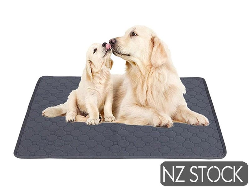 PTN NEW Dog Pee Pad Sale Sale Carousel 1