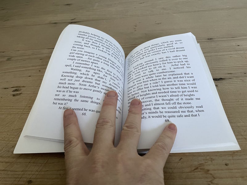 The Half Dragon by L.J. Peterson - Large Paperback Carousel 4