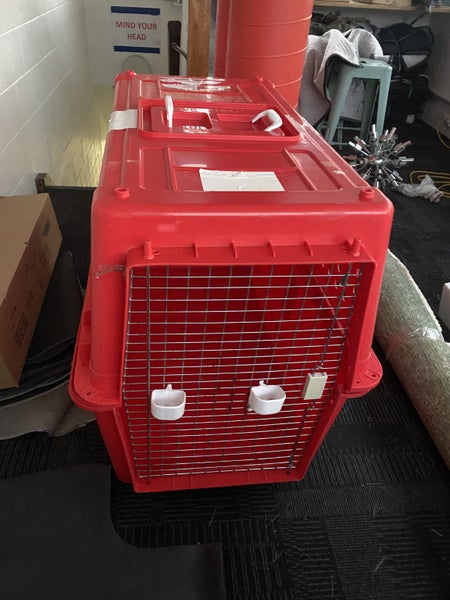 XXL Dog Crate for Airline Travel PP7062863855066243111