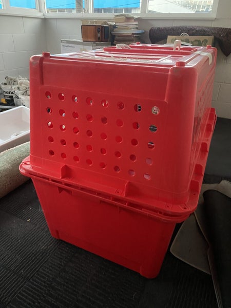 XXL Dog Crate for Airline Travel PP7062863855066243112