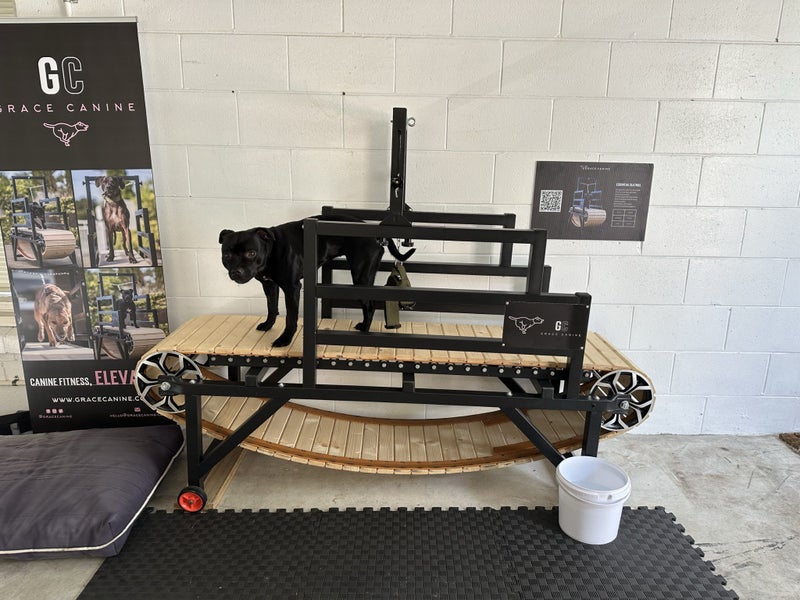 Dog Slatmill - ex-demo manual dog treadmill Carousel 2