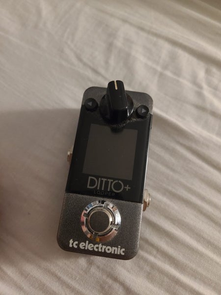 Ditto+ loop pedal Carousel 1