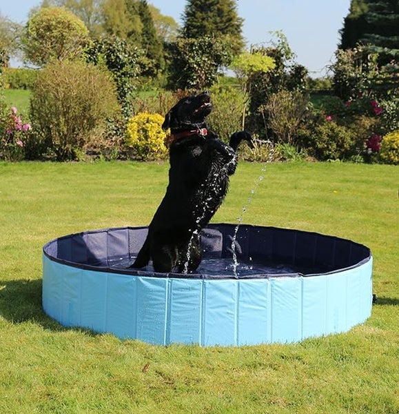 Pet Heat Relief Cool Down Dog Swimming Pool - Not Just For Dogs Carousel 1
