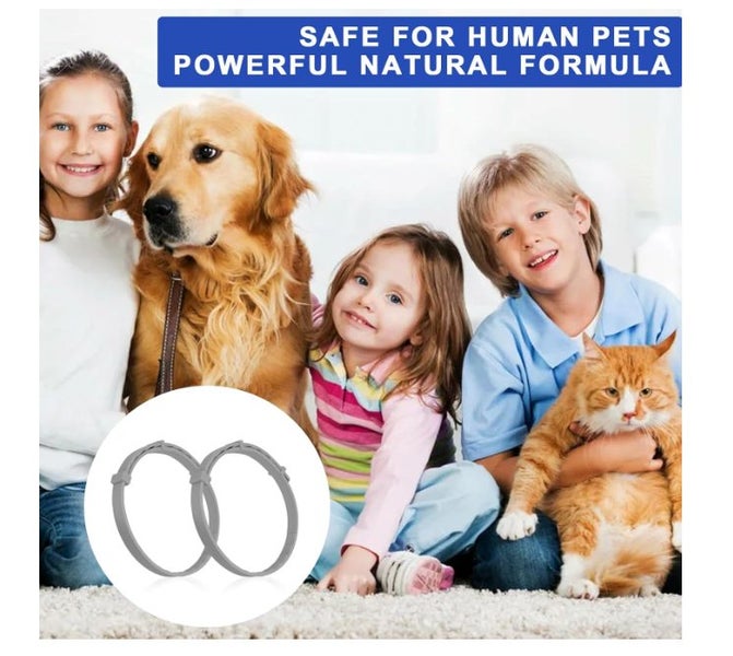 Flea Tick Collar for Dogs 4PCS Carousel 5