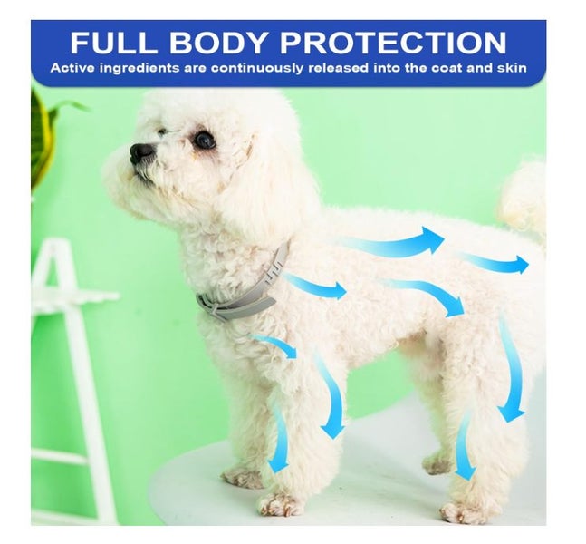 Adjustable Anti Flea and Tick Neck Collar For Dog Cat Pet Carousel 2