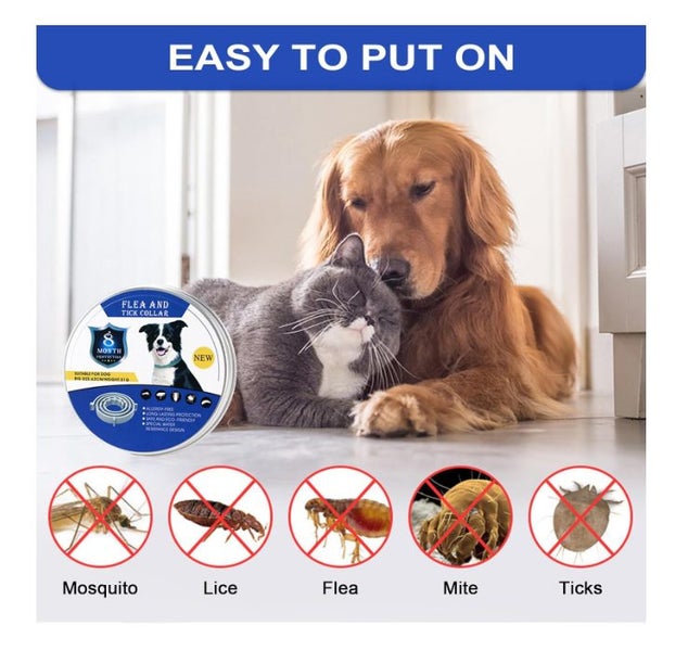 Flea Tick Collar for Dogs 4PCS Carousel 2