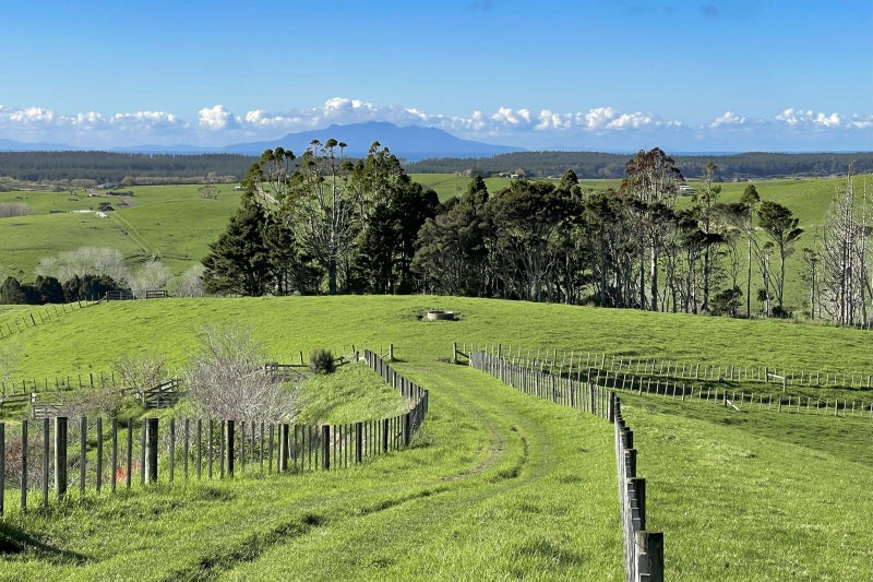 Image 1 of 25