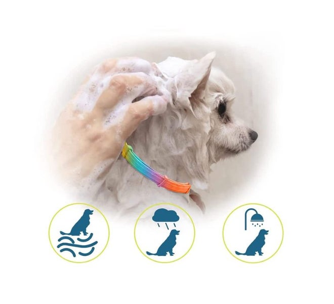 Anti-Flea & Tick Cat Collar 38cm Adjustable, Waterproof Carousel 3