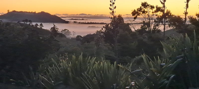 Image 2 of 32