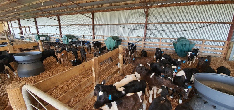 Class dairy unit with wintering ability62869815131522113