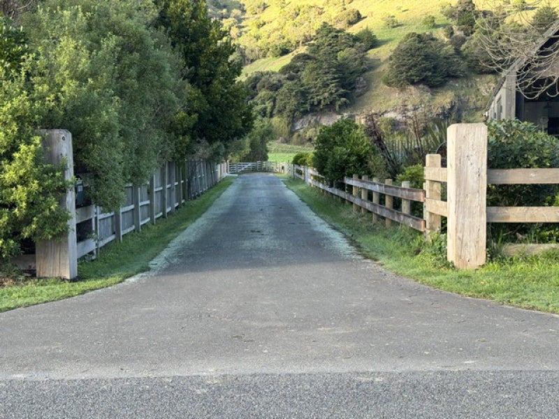 Image 1 of 11