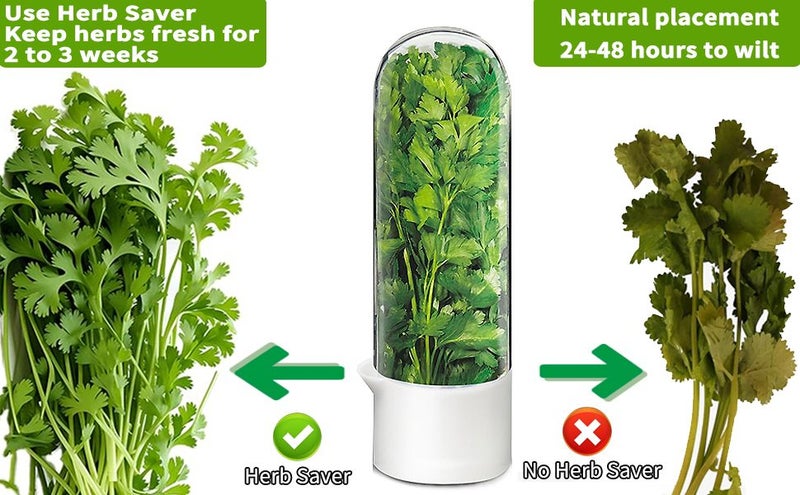 Herb Saver for Refrigerator Herb Storage Container Cilantro Container for Fridge Carousel 2