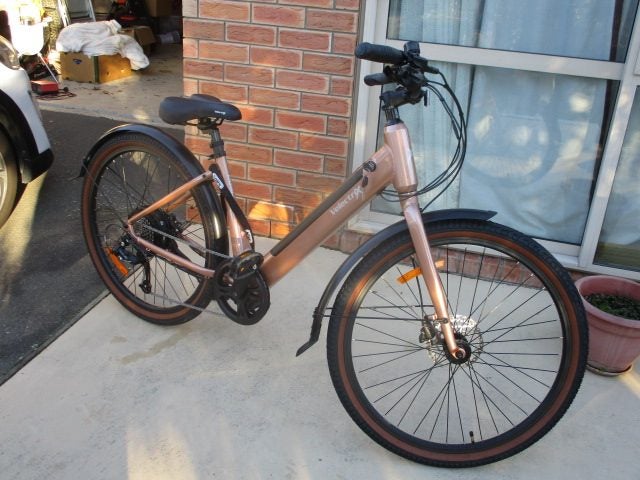 E BIKE62863856757378113