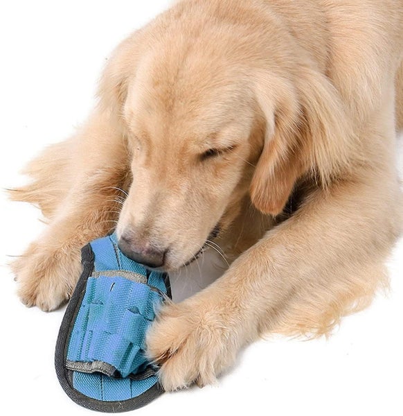 Durable Indestructible Dog Chew Toy Interactive Chew Toys, Shoe Chew Toys Carousel 2