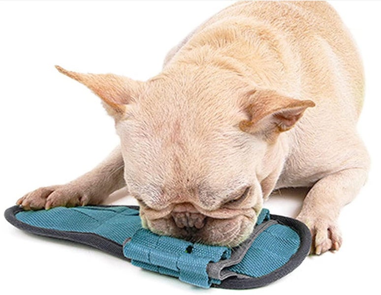 Durable Indestructible Dog Chew Toy Interactive Chew Toys, Shoe Chew Toys Carousel 3