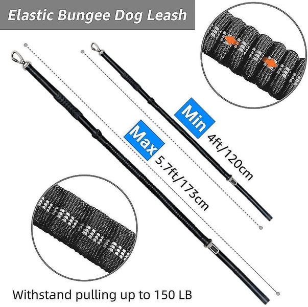 Bungee Dog Lead, Shock Absorbing Bungee Leash With Soft Padded Handle & Traffic Carousel 2