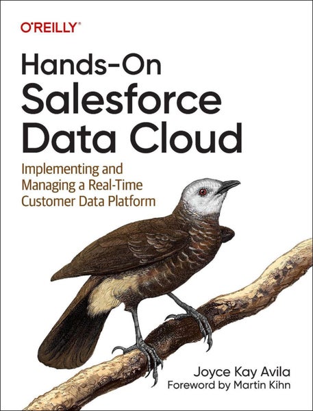 Hands-On Salesforce Data Cloud by Joyce Kay Avila - Paperback Carousel 1