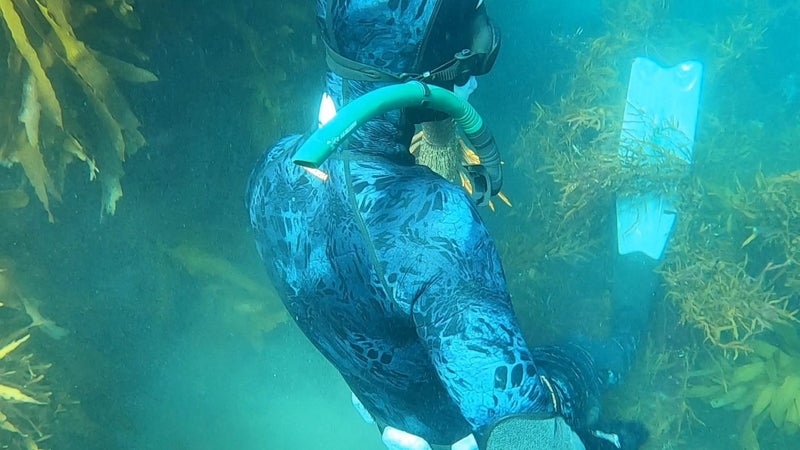 GoPro hero 8 Carousel 12