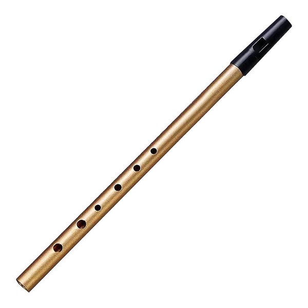 Irish Tin Whistle Key Of C/d Celtic Folk Brass Instrument For Beginners Carousel 1