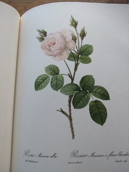 *** PIERRE - JOSEPH REDOUTE' - ROSES *** FIRST EDITION - 1963 *** Carousel 12
