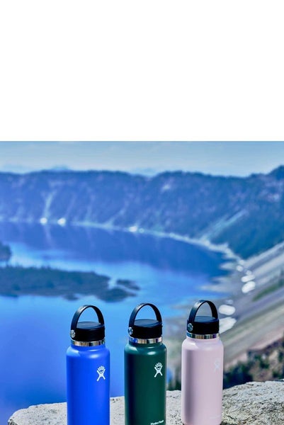 Hydro Flask 32oz (946ml) Wide Mouth Drink Bottle Trillium Carousel 5