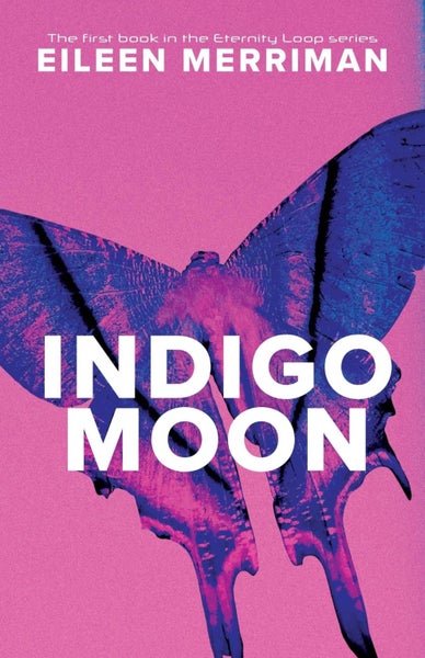 Indigo Moon Carousel 1
