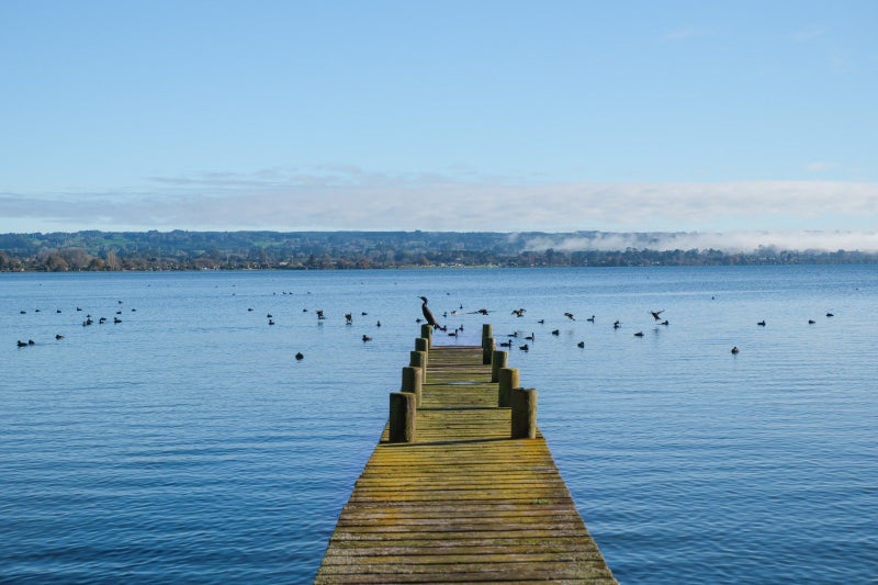 Image 3 of 34