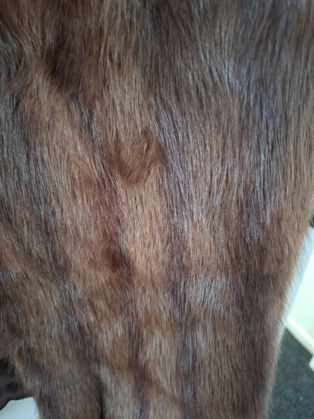 Vintage Fur Coat62866852896898113
