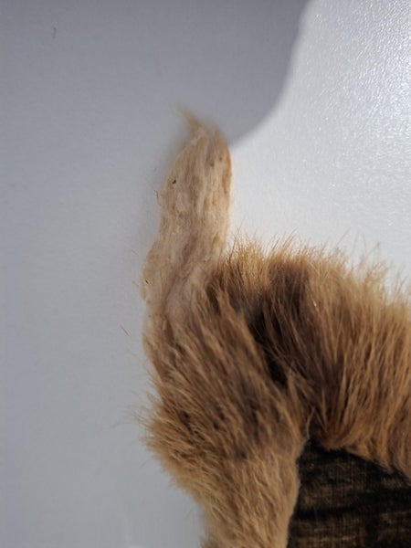 Vintage Fox Stole62866852830978113