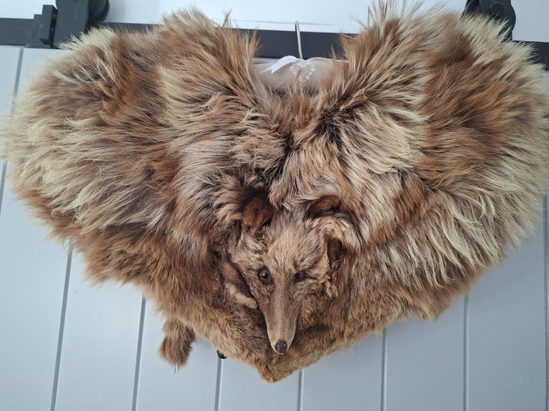Vintage Fox Stole62866852830978114