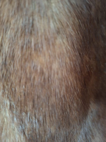 Vintage Fur Jacket62929688237569114