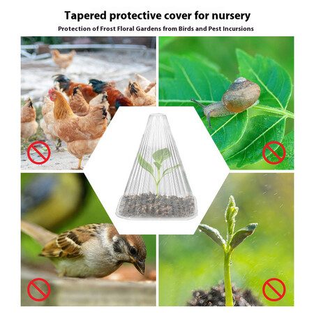 50 Pack Transparent Plant Seedling Protection Cover Agricultural Vegetable Seedl Carousel 6