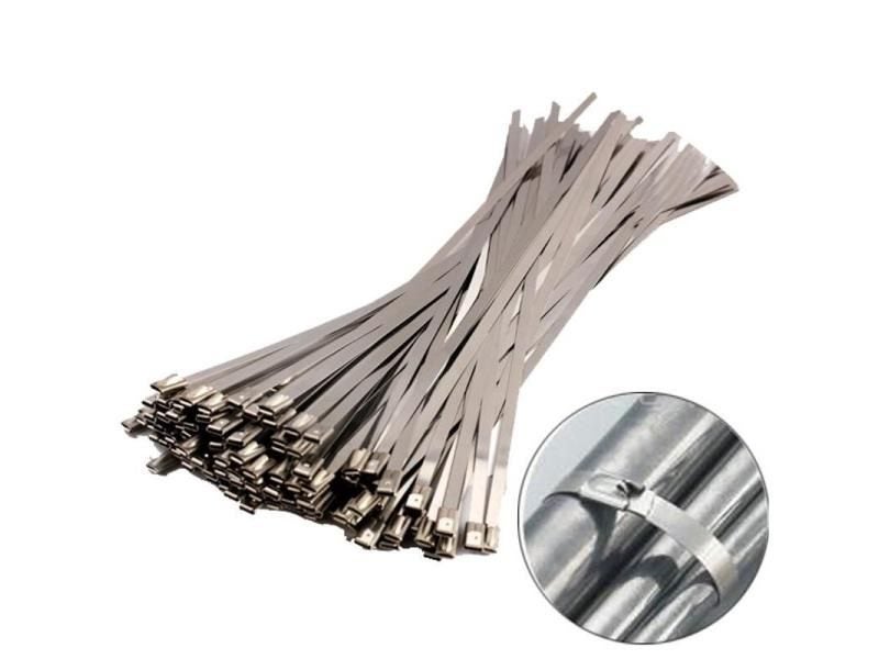 20pcs Stainless Steel Cable Ties 4.6mm Heavy Duty Self-Locking Cable Zip Tie Carousel 2