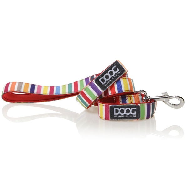 Scooby Co-ordinates by DOOG Carousel 3