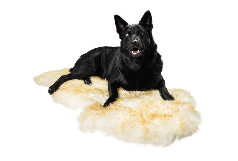 Pet Snuggle Sheepskin Rug Carousel 1