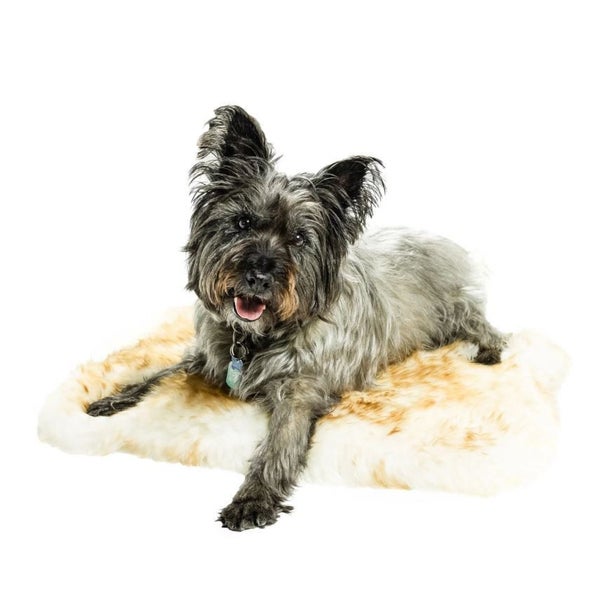 Pet Snuggle Sheepskin Rug Carousel 2