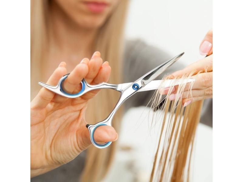 Professional Hairdressing Scissors Kit Stainless Steel Barber Tools Carousel 1