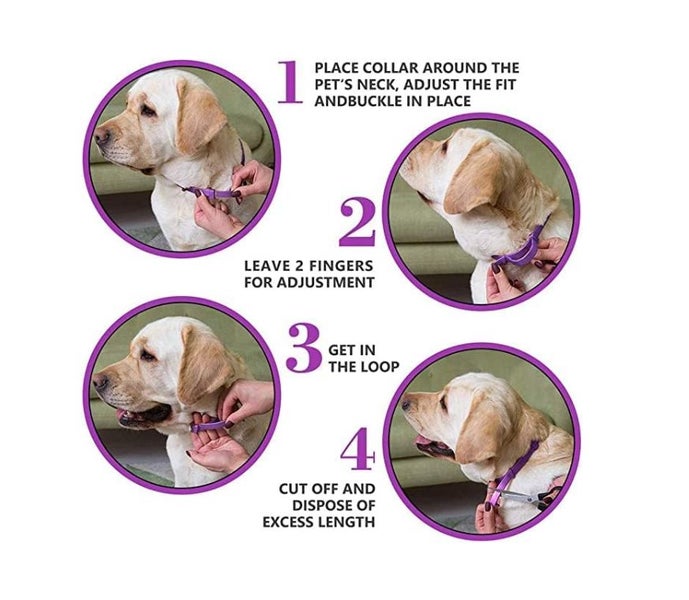 Calming Collar for Dogs 62cm Silicone Purple Color Carousel 5