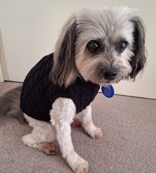 35cm Warm Cable Knit Jumpers - sml dog Carousel 2