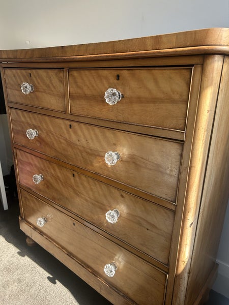 Antique Satin Wood Scotch Chest62863844545409111