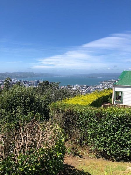 Image 1 of 12