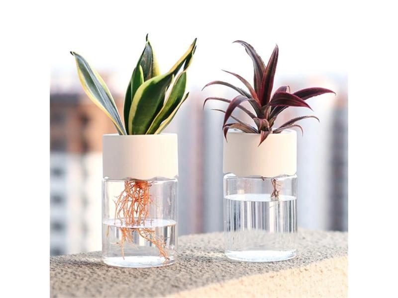 Mini Hydroponic Flower Pot Home Vase Decor Transparent Imitation Glass Soilless Carousel 1