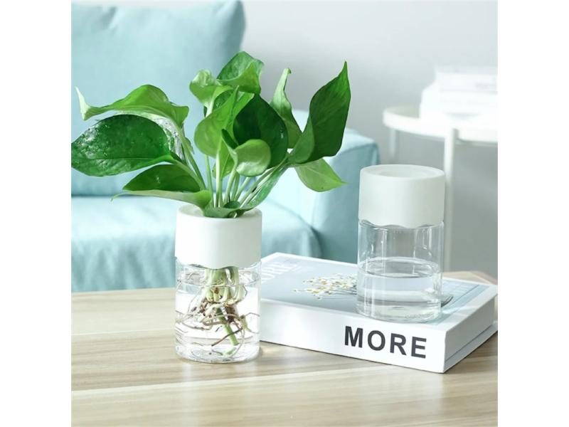 Mini Hydroponic Flower Pot Home Vase Decor Transparent Imitation Glass Soilless Carousel 2