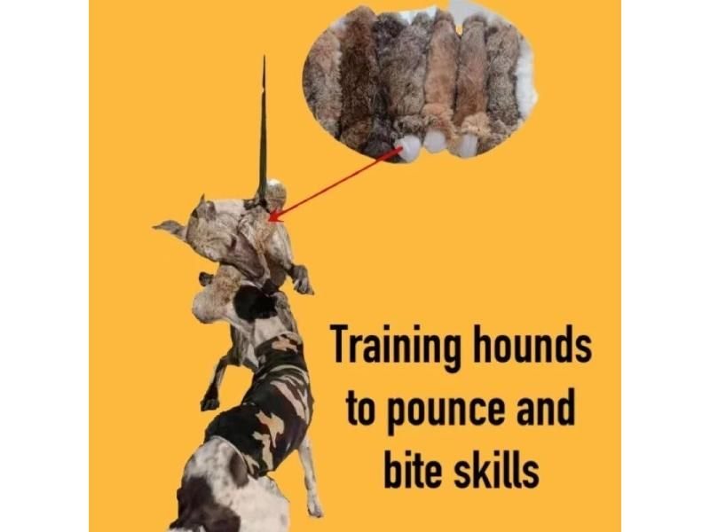Hunting Dog Biting Toys Simulation Rabbit Interactive Dog Sound Toy For Whippet Carousel 1