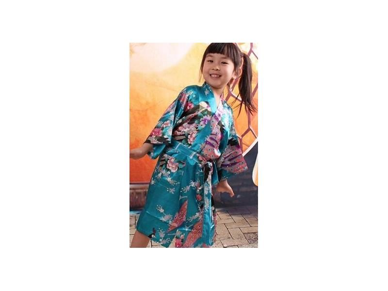 Dressing Gown Carousel 1