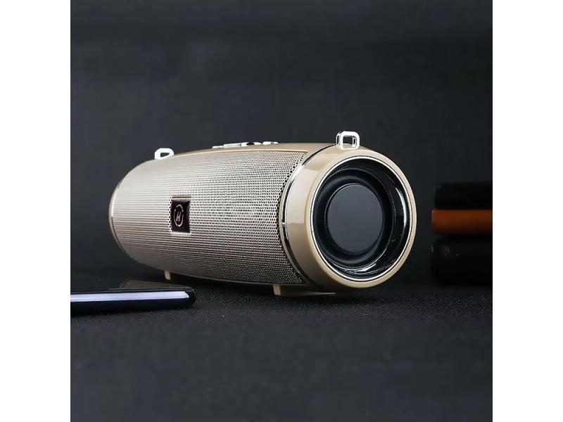 Loudspeaker Loud Speakers Carousel 1