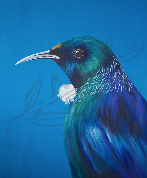 Azure Tui - Fine art A2 print Carousel 2