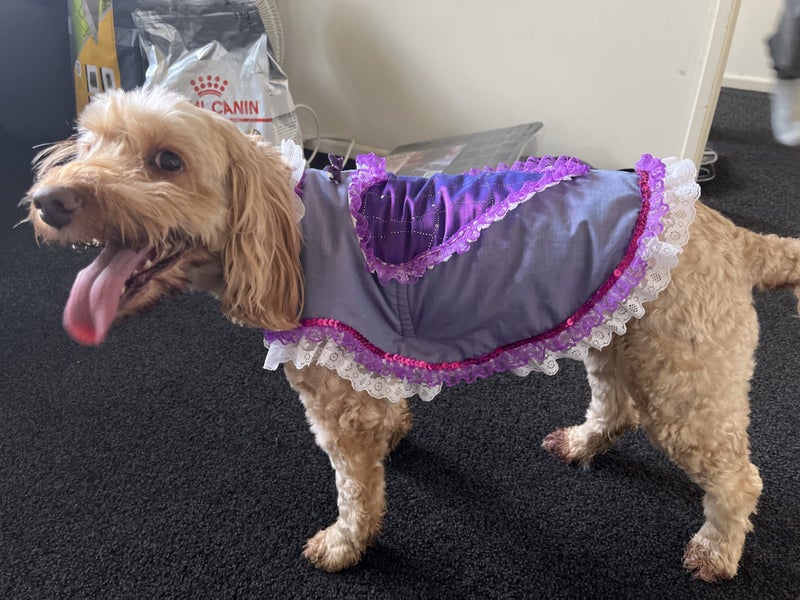 Dog party dress Carousel 2