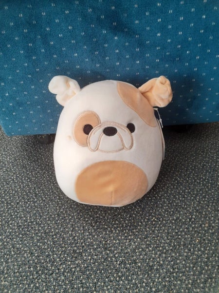 $1 Reserve Brock the Bulldog 8" Squishmallow Carousel 1